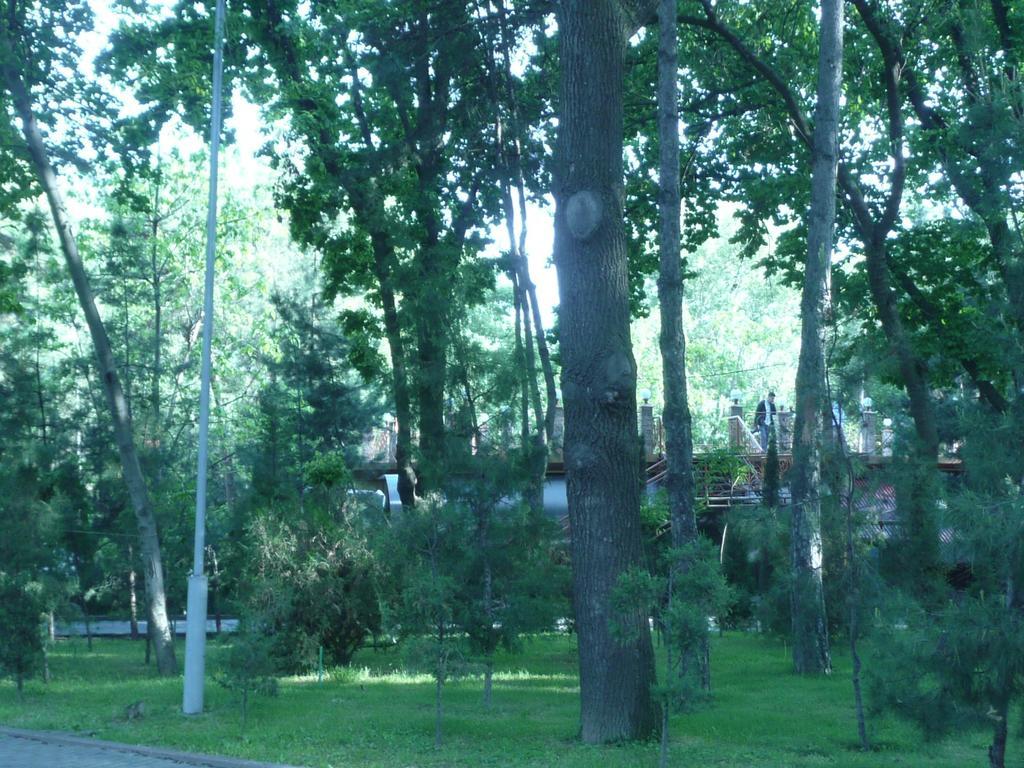 Apartment Tsentr 5 Taşkent Dış mekan fotoğraf